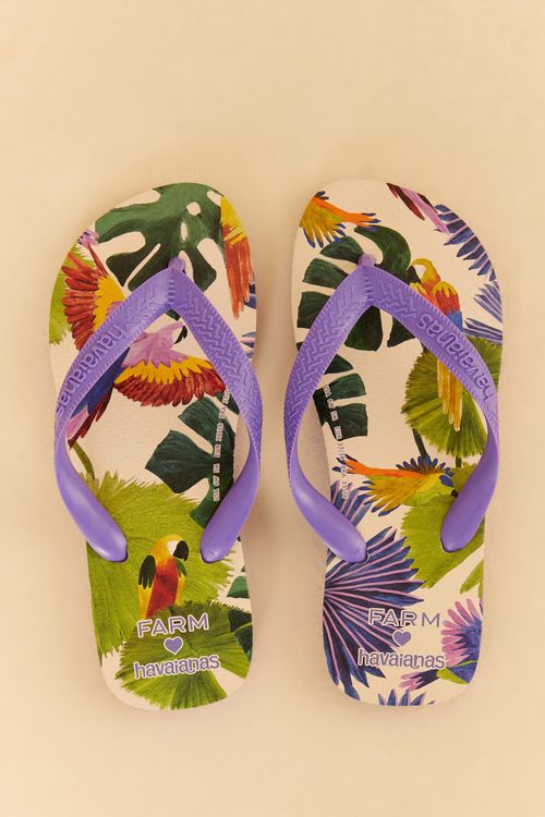 323087_42966_2-HAVAIANAS-ESTAMPADAS-PASSAROS-PINTADOS