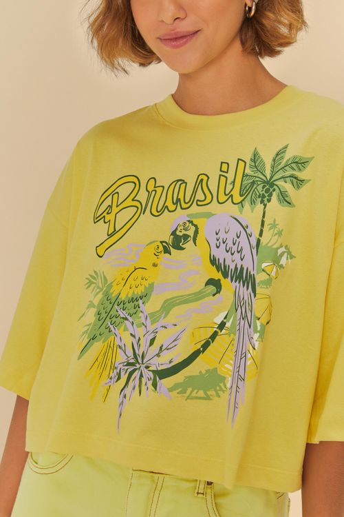 338897_5448_2-T-SHIRT-BOX-ESTAMPADA-BRASIL